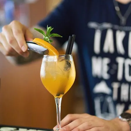 阿尔玛索酒店 酒店 加尔达湖滨